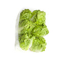 Little Gem Lettuce
