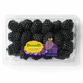 Blackberry sweet batch