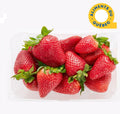 Strawberry Quebec