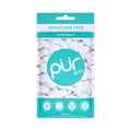 Pur Sugar Free Wintergreen Chewing Gum 1 Pk 55 Pc