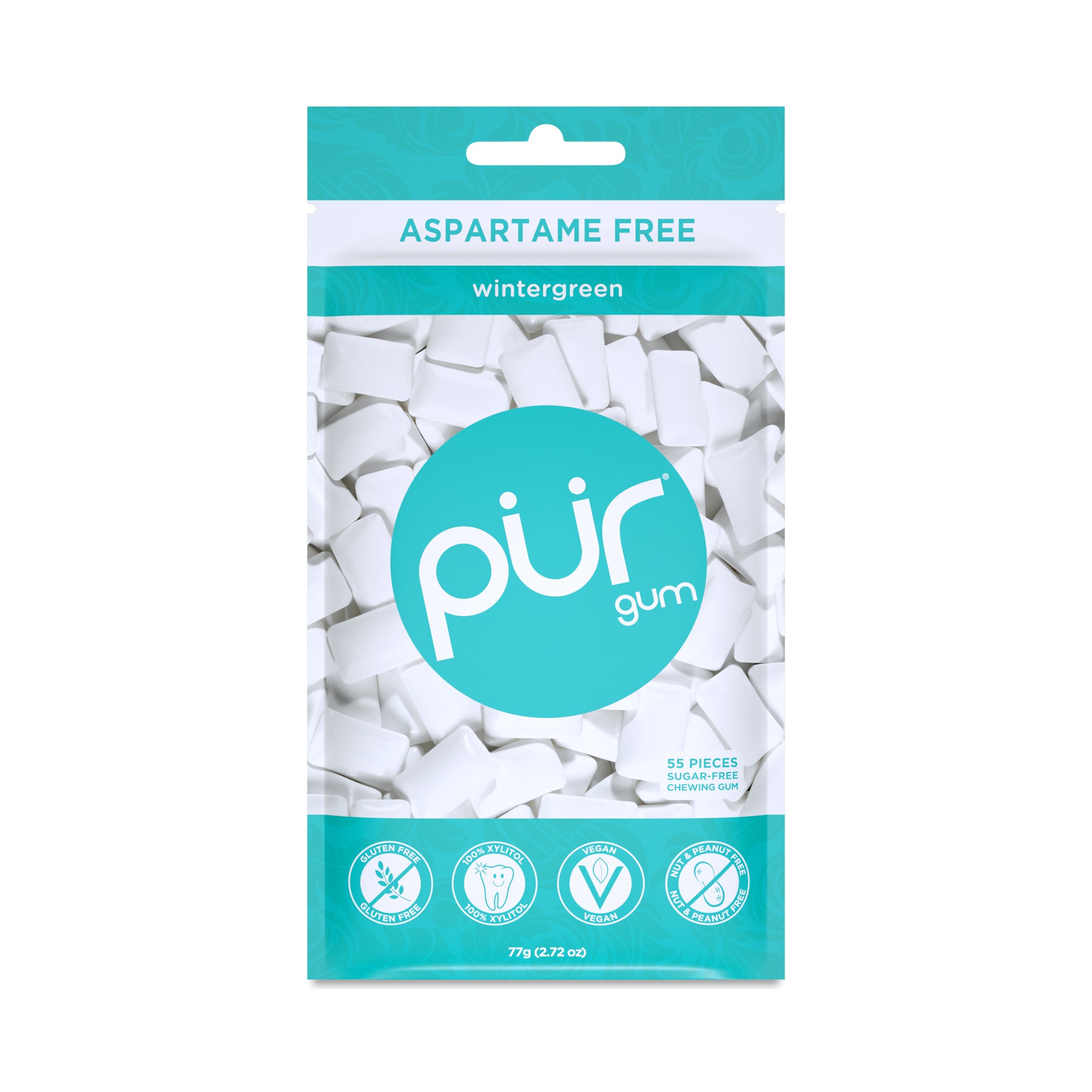 Pur Sugar Free Wintergreen Chewing Gum 1 Pk 55 Pc