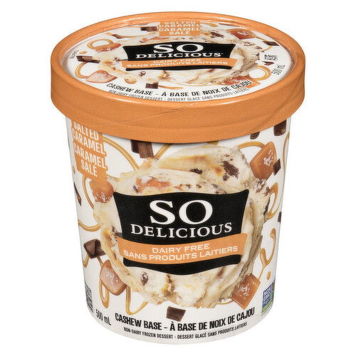 So Delicious Cashew Milk Frozen Dessert Salted Caramel Cluster
