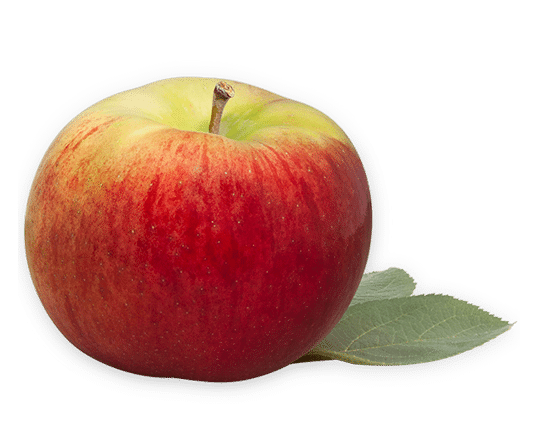 Apple QC  Cortland