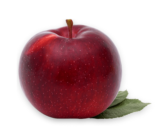 Apple QC Empire