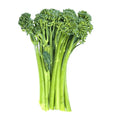 Baby Broccoli