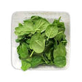 Baby Spinach Pack