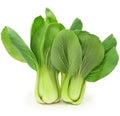Bok Choy