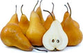 Bosc Pear