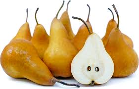 Bosc Pear