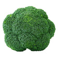 Broccoli Crown