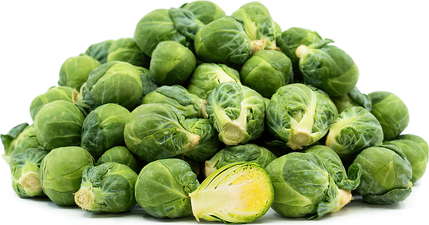 Brussel Sprout