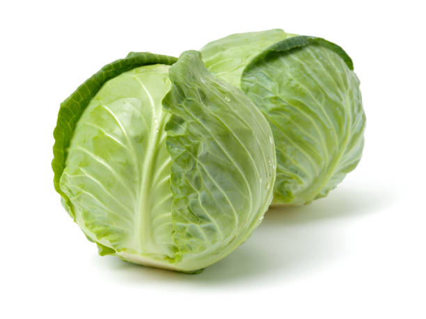 Cabbage Green
