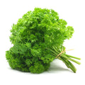 Canadian Parsley