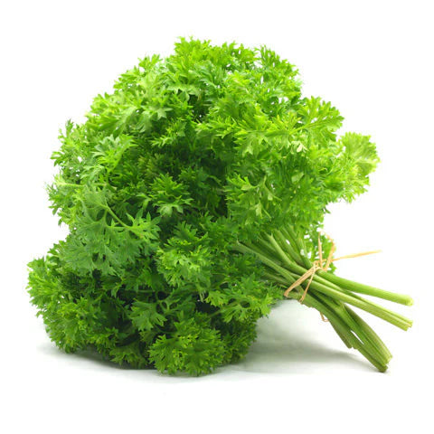 Canadian Parsley