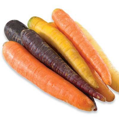 Carrot Nantaise