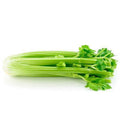 Celery