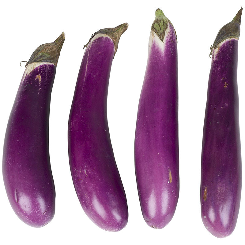 Chinese Eggplant