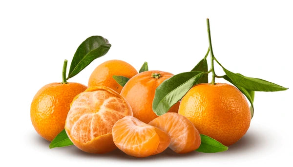 Clementine with leaves