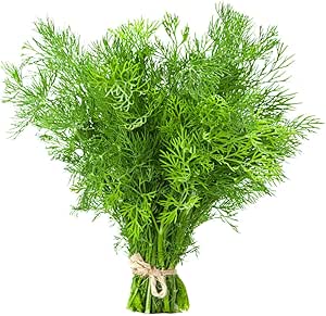 Dill