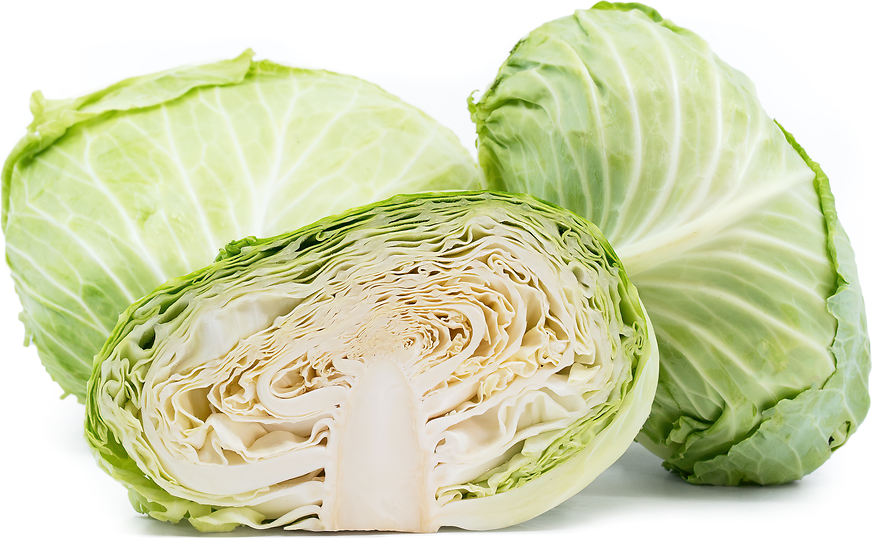 Flat Cabbage