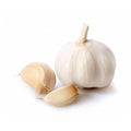 Garlic Organic