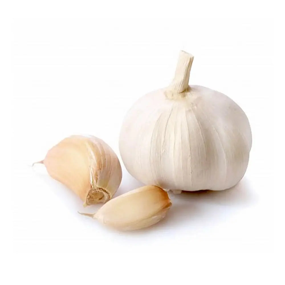Garlic Organic