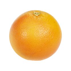 Grapefruit Big