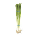 Green Onion