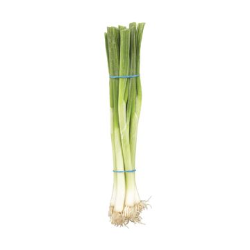 Green Onion