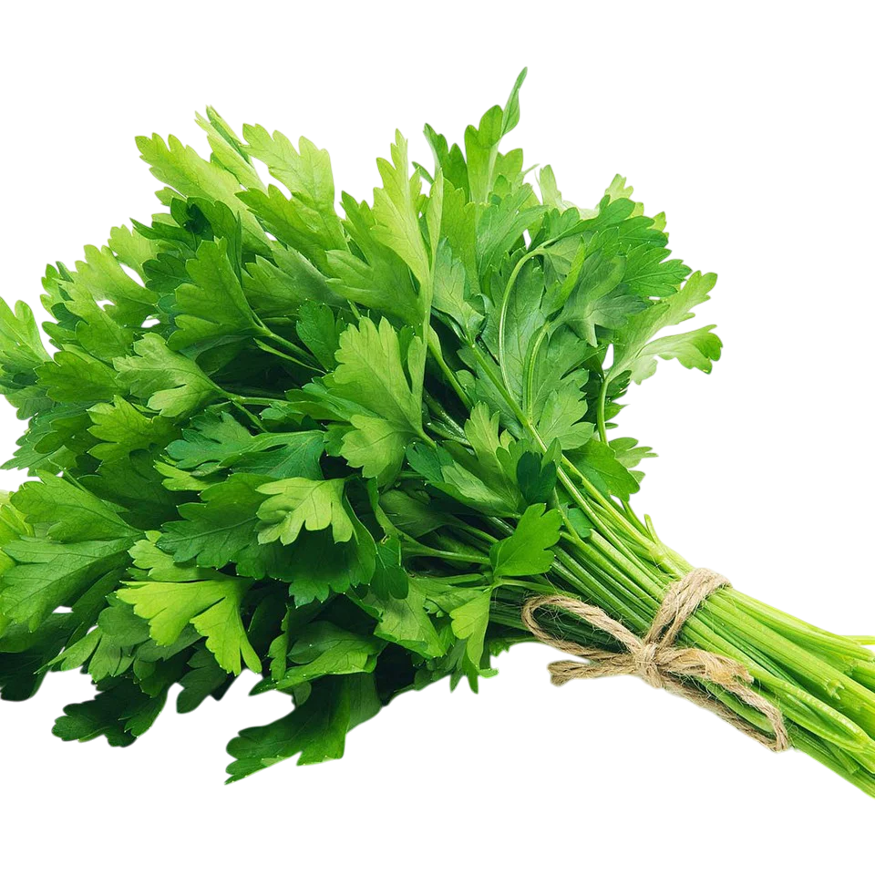 Italian Parsley