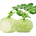 Kohlrabi