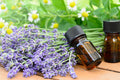 Lavendar Essential Oil