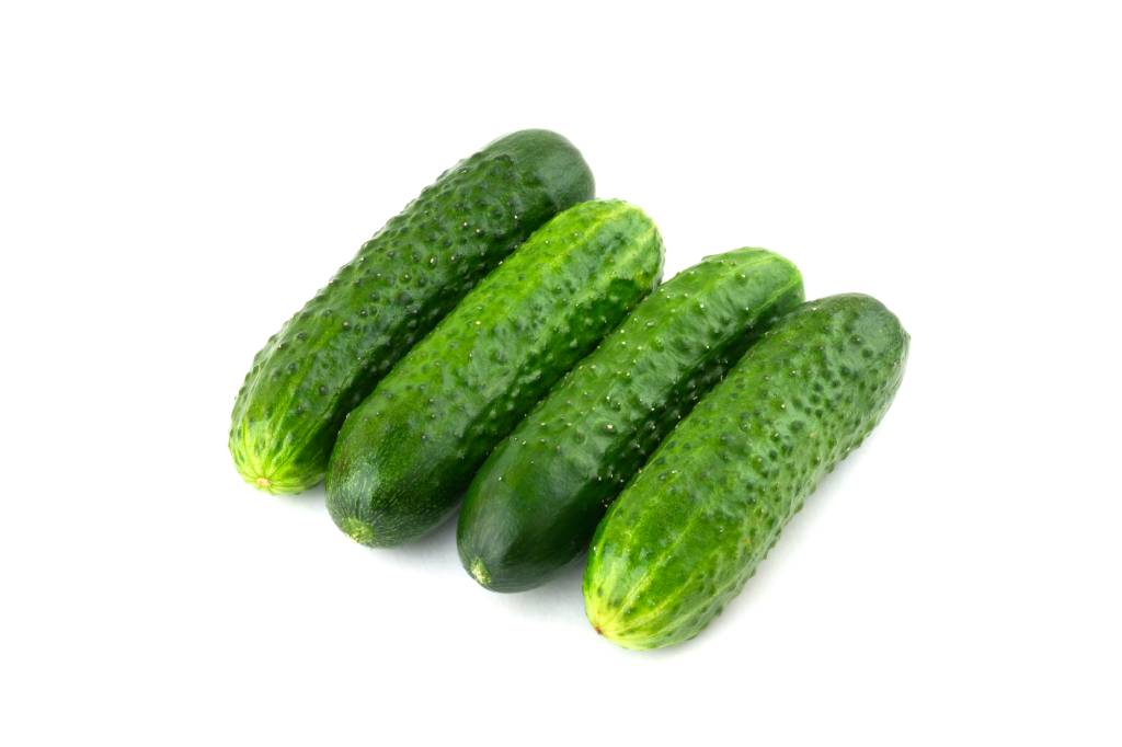Lebanese Cucumber