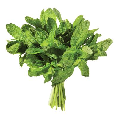 Mint