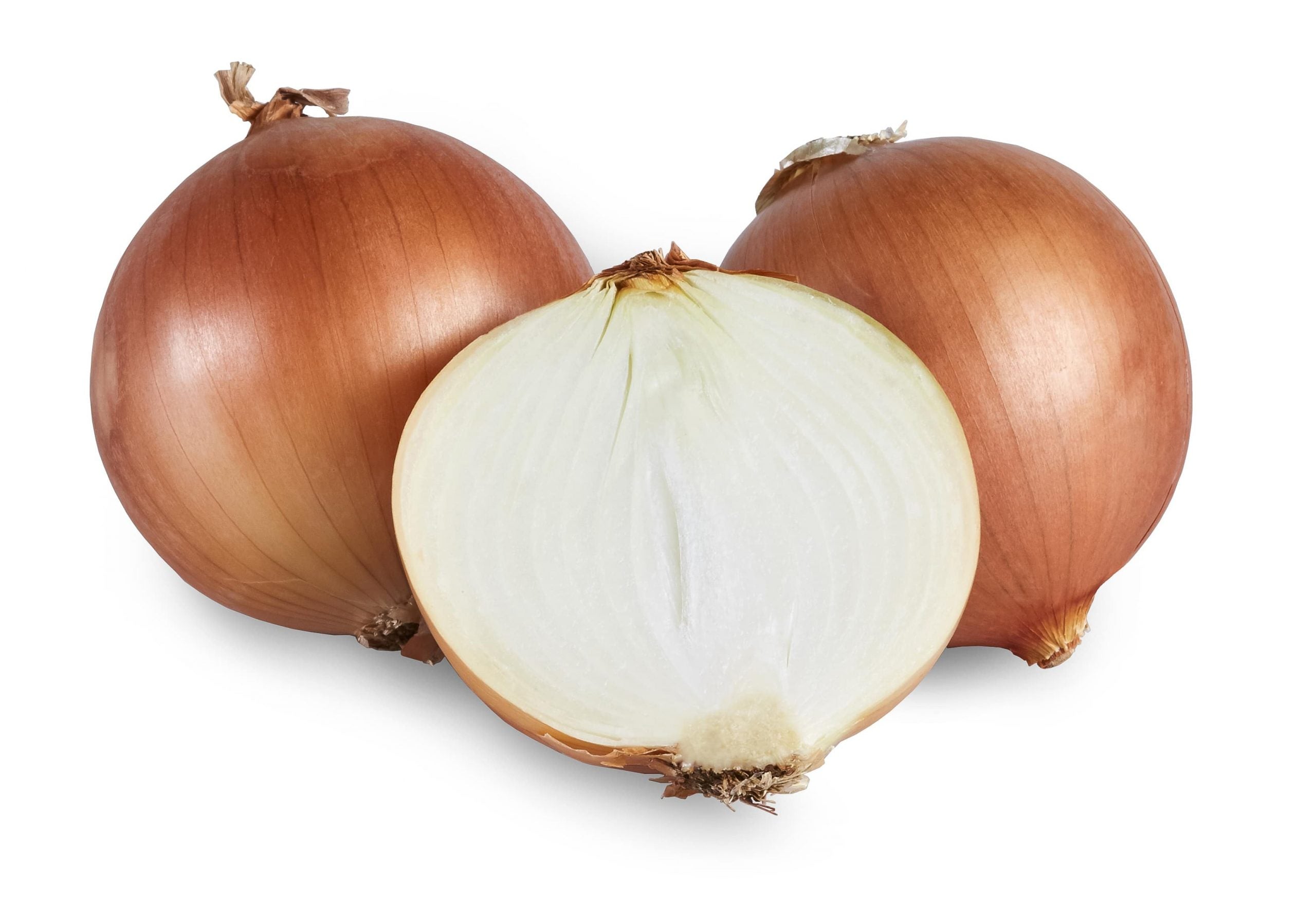 Onion (Spanish)