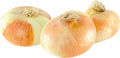 Onion (vidalia)