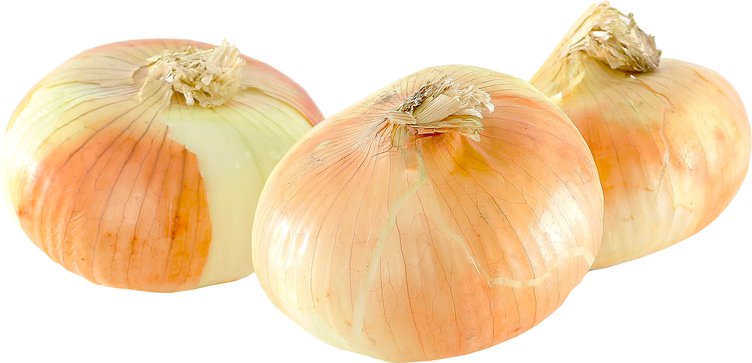Onion (vidalia)