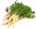 Parsley Root