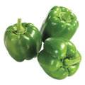 Pepper Green