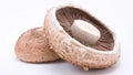 Portobello Mushroom