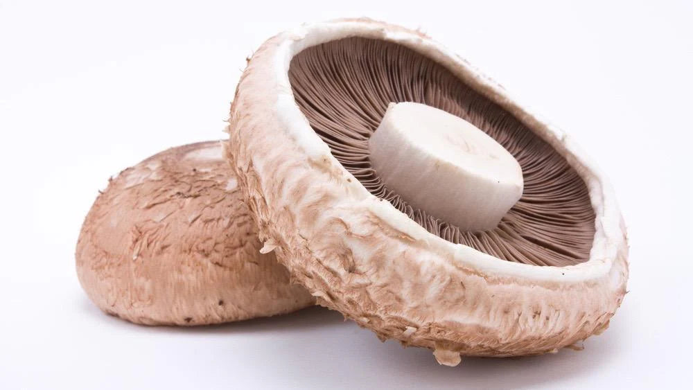 Portobello Mushroom
