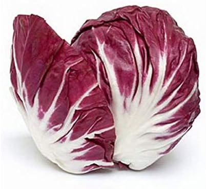 Raddicchio