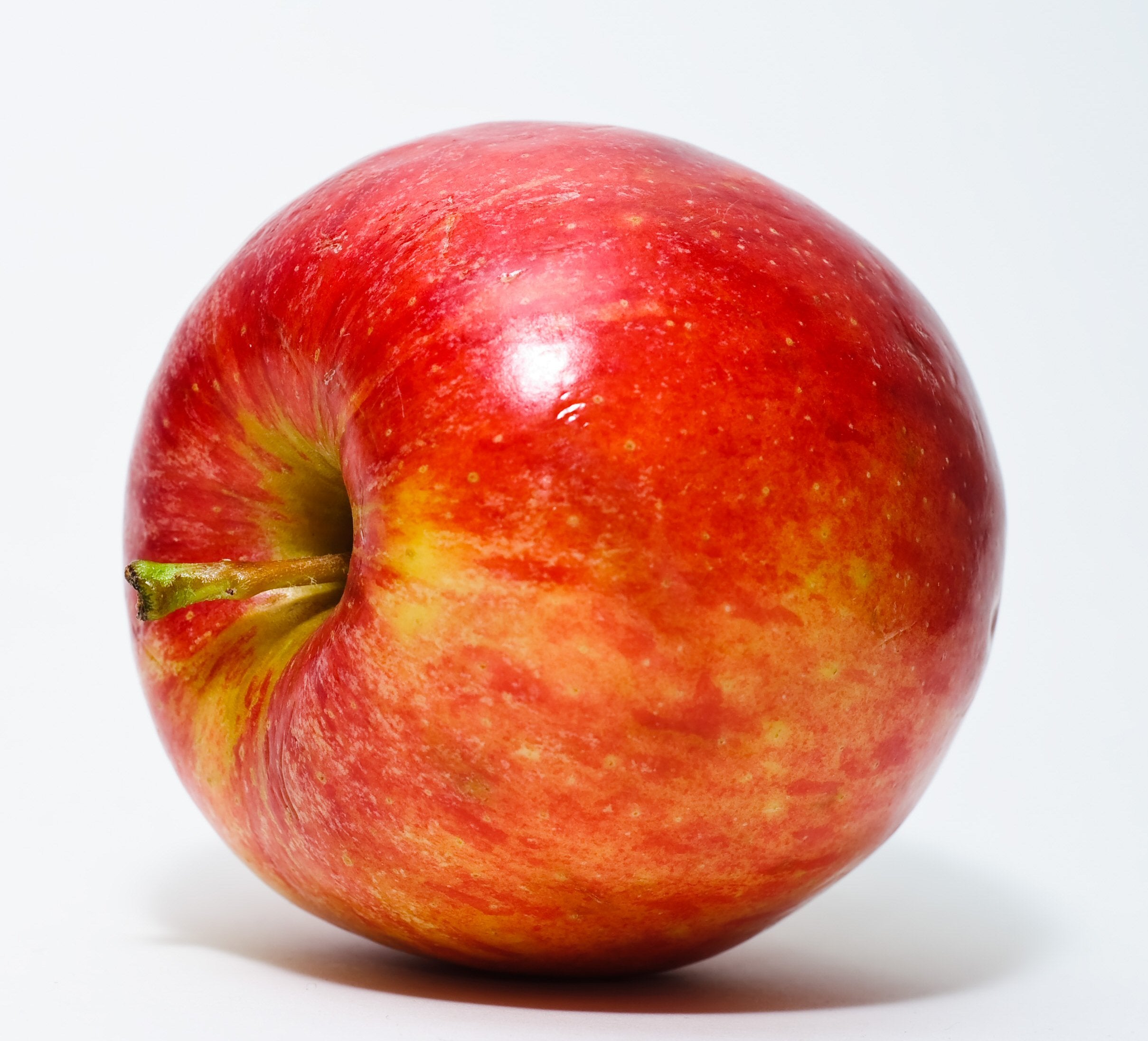 Apple Gala