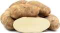 Russet Potato