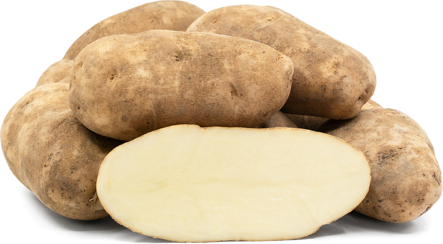 Russet Potato