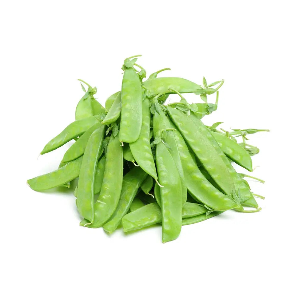 Snow Pea