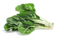 Swiss Chard
