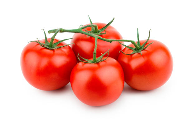 Tomato Vine Organic