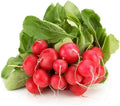 Top Radish