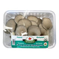 Organic Black Oyster Mushrooms